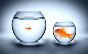 How to spot when you have outgrown your sales proposal software